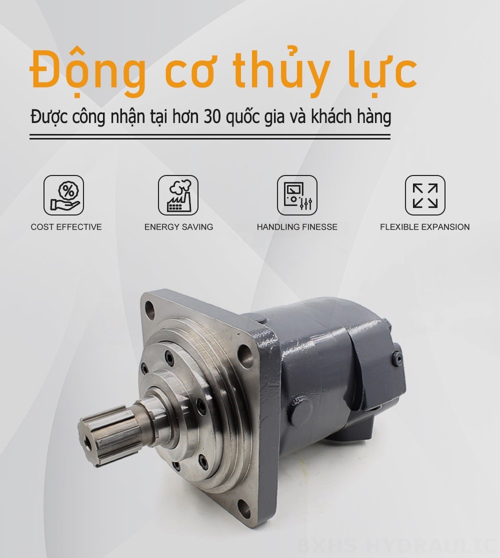 Mô tơ thủy lực Cycloid BM6_2 245 cc/vòng 150 L/phút Mô tơ thủy lực